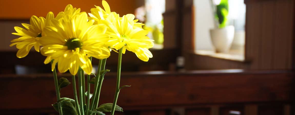 Blumen auf dem Tisch